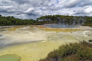 地热景观多彩泥浆与植被