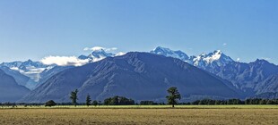 壮丽雪山下的广袤原野
