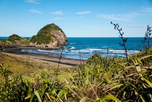海岸风光绿植与海浪相伴