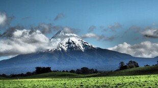 壮丽雪山下的广袤绿野