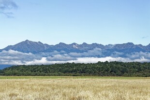 广袤田野与远处山峦美景