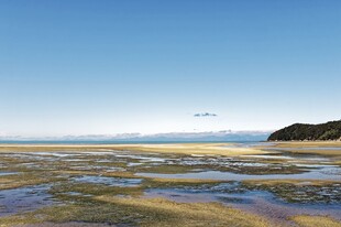 海边湿地风光