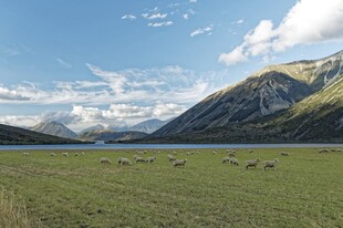 草原山川间的悠然牧场景象