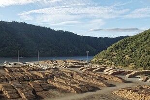海岸边的奇特岩石景观