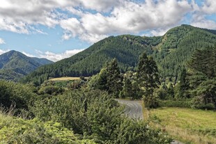 山间绿野美景