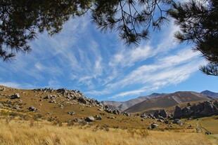 山间旷野美景