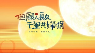 月圆人聚千里共婵娟