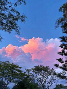 粉霞映天