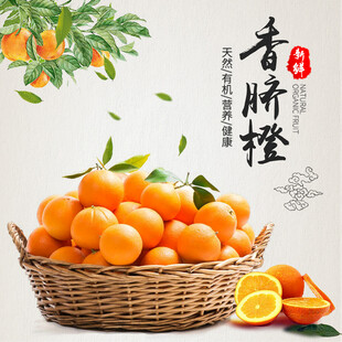 青脐橙 