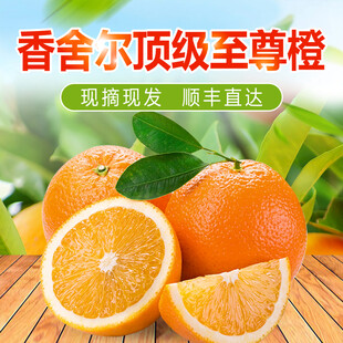 至橙柑 