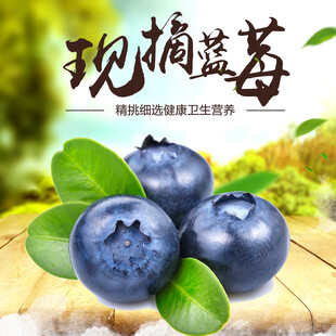 蓝莓 