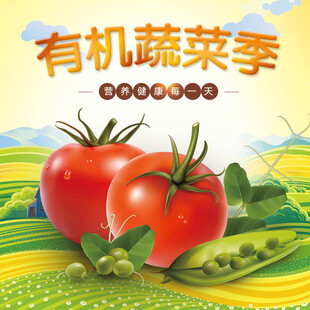有机蔬菜