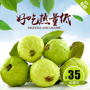 番石榴 