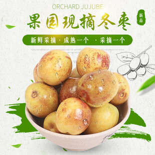 冬枣 