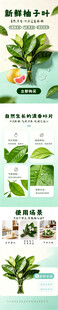 打造清新小角落