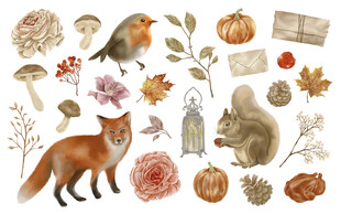 秋日森林动物植物插画集