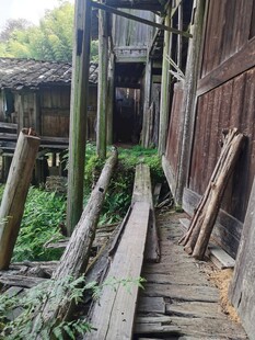 大山深处
