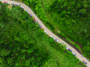 蜿蜒公路穿行翠绿山林