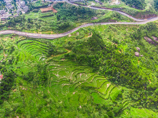 航拍山间蜿蜒翠绿公路