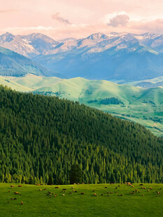山间绿野壮美自然景观