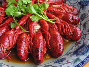 美味小龙虾摆盘诱人