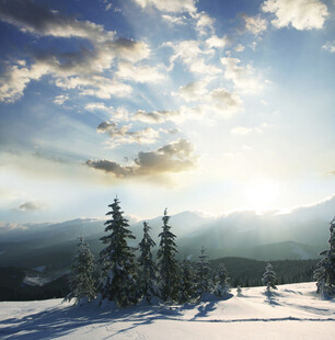 冬日雪山松林壮丽美景