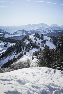 雪山风景远眺