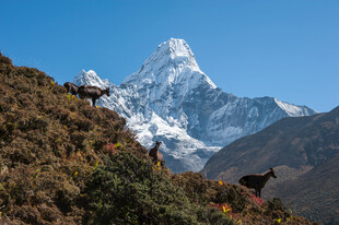 壮丽雪山与山间徒步者