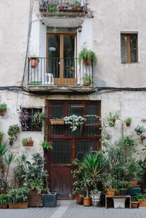 复古墙面的绿植装饰小屋
