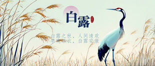 白露时节的优雅仙鹤