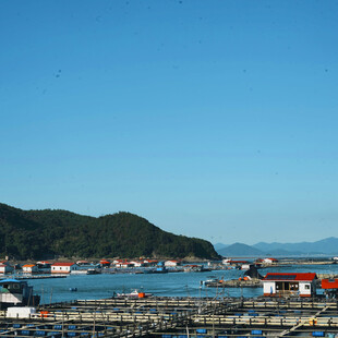 海滨渔村风光