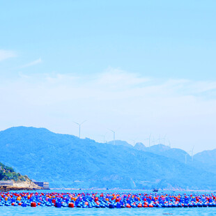 蓝色花海与远山美景