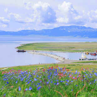 湖畔花海美景