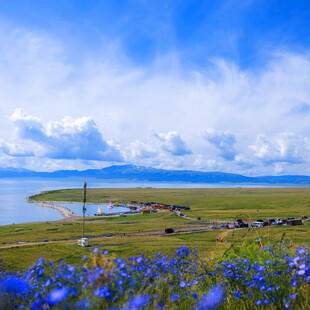 湖畔花海美景