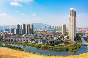 城市河畔高楼景观
