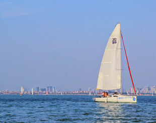海上白帆船航行美景