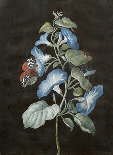 蓝花绿叶间的昆虫景致油画