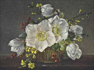 花瓶中的白色花卉静物画
