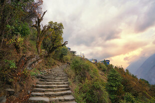 山间石阶小路秋景如画