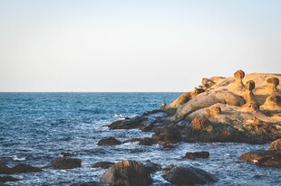 海边礁石景观