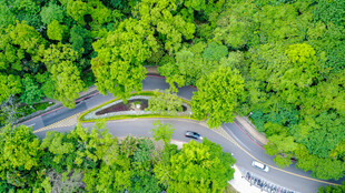俯瞰山林间蜿蜒公路