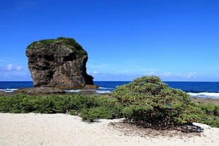海边孤石与绿植景观