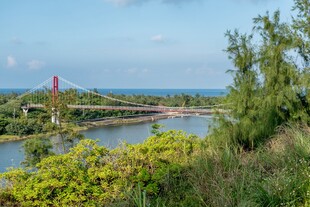 河畔风光中的桥梁美景