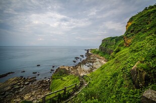 海岸绿意盎然的美丽景致