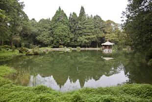 静谧湖畔园林景致