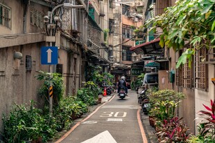 狭窄小巷绿植环绕的景致