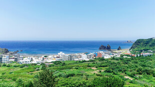 海岸绿野风光美景