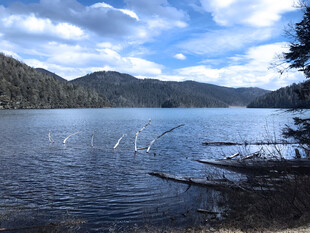 宁静湖畔风景