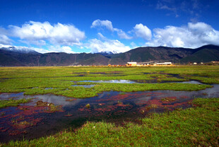 草原湿地风光美景