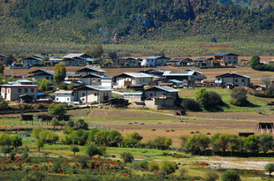 山间村落风景